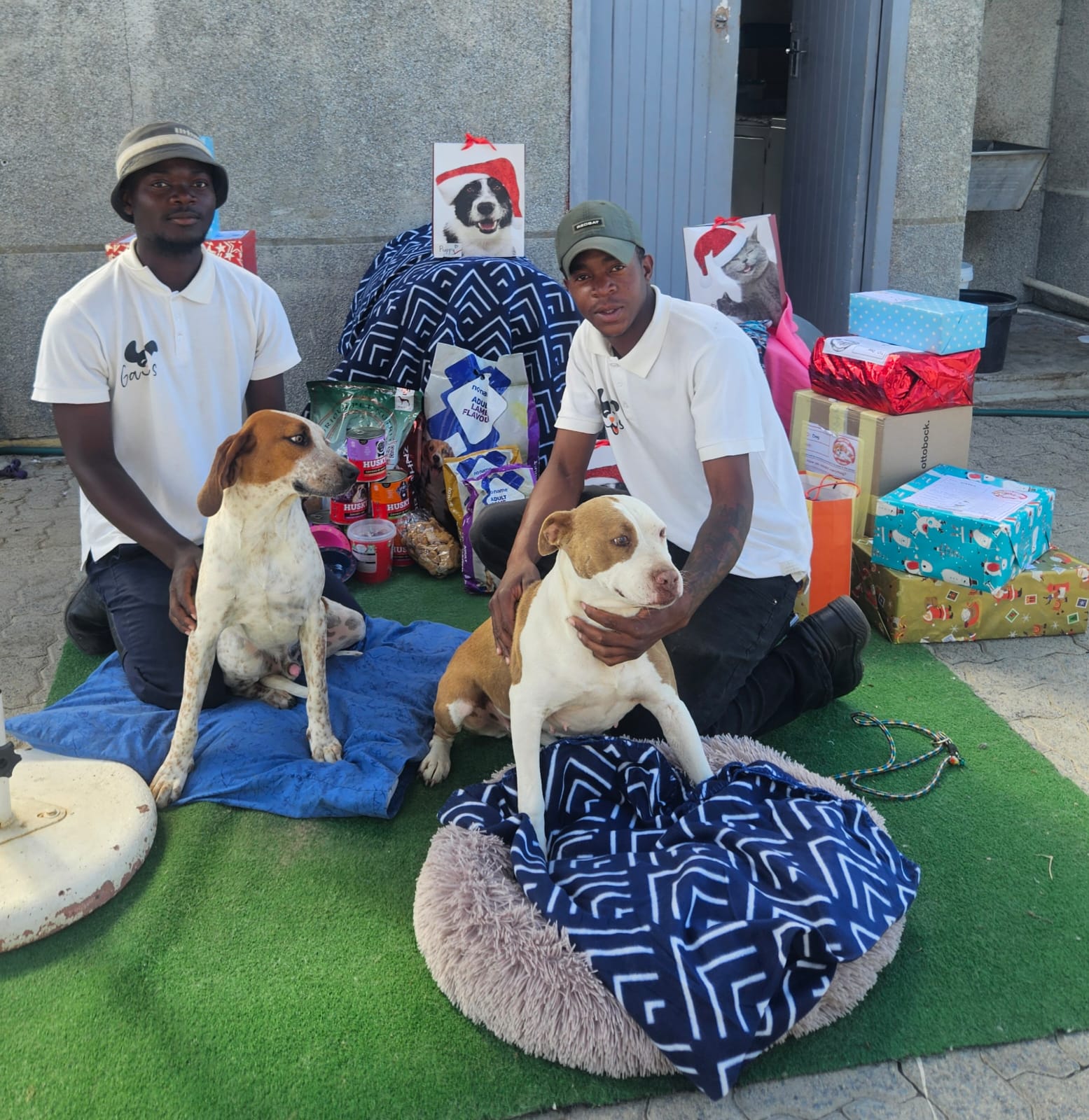 Grabouw Animal Welfare Society